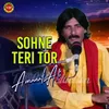 About Sohne Teri Tor Song