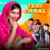 About Teri Chaal Song