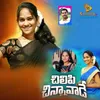 About Chilipi Chinnavade Song