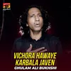 Vichora Hawaye Karbala Javen