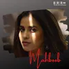 About Mahboob Song