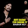 About Haye Baaba Teri Sakina Te Song