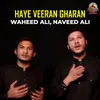 Haye Veeran Gharan