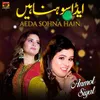 About Aeda Sohna Hain Song