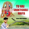 About Tu Hai Shaktishali Maiya Song