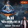 About Jai Shankara Song