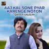 About Aaj Kal Sone Pyar Karenge Noton Song