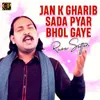 About Jan K Gharib Sada Pyar Bhol Gaye Song