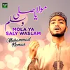 About Mola Ya Saly Waslam Song