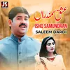 About Ishq Samundran Song