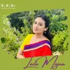 About Laila Majnu Song