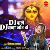 About Dj Wale Dj Baja Jor Se Song