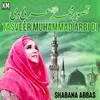 About Tasveer Muhammad Arbi Di Song