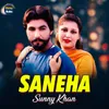 About Saneha Song