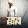 About Tere Bin Song