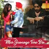 About Mar Jawange Tere Bin Song