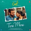 About Tere Mere Song