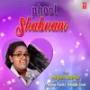 About Phool Shabnam Song