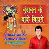 About Vrindavan Ke Banke Bihari Song