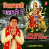 About Dilwali Paalki Mein Song