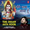 About Tere Dhaam Aaya Hoon Song