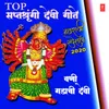 Sonyachi Sakhali Gali (From "Saptashrungila Bhetu Chala")