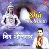 About Shiv Bholenath Song