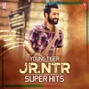 Jayaho Janatha (From "Janatha Garage")