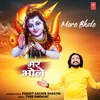 About Mere Bhole Song