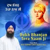 About Dukh Bhanjan Tera Naam Ji Song