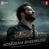 About Komuram Bheemudo (From "RRR") Song