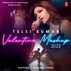 About Tulsi Kumar Valentine Mashup 2022(Remix By Aditya N) Song
