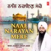 About Naal Narayan Mere Song