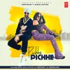 About Pichhe Pichhe Song