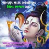 Om Namah Shivay Dhun (From "Om Namah Shivay")