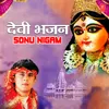 Tere Paawan Maa Navratron Mein (From "Laal Chole Wali")