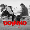 About Domino Song