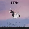 About SBNF Song