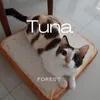 About Tuna Song