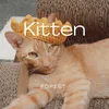 Kitten