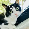 Mimi