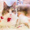 Rupi