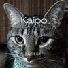About Kaipo Song
