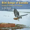 About Yellow-Billed Loon Song