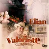 About No Valoraste Song