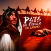 About Pata de Camelo Song