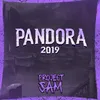 About Pandora 2019 Song