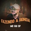 About Fazendo a Ronda Song