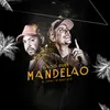 About Ela Quer Só Mandelão Song