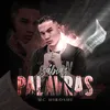 About Sábias Palavras Song